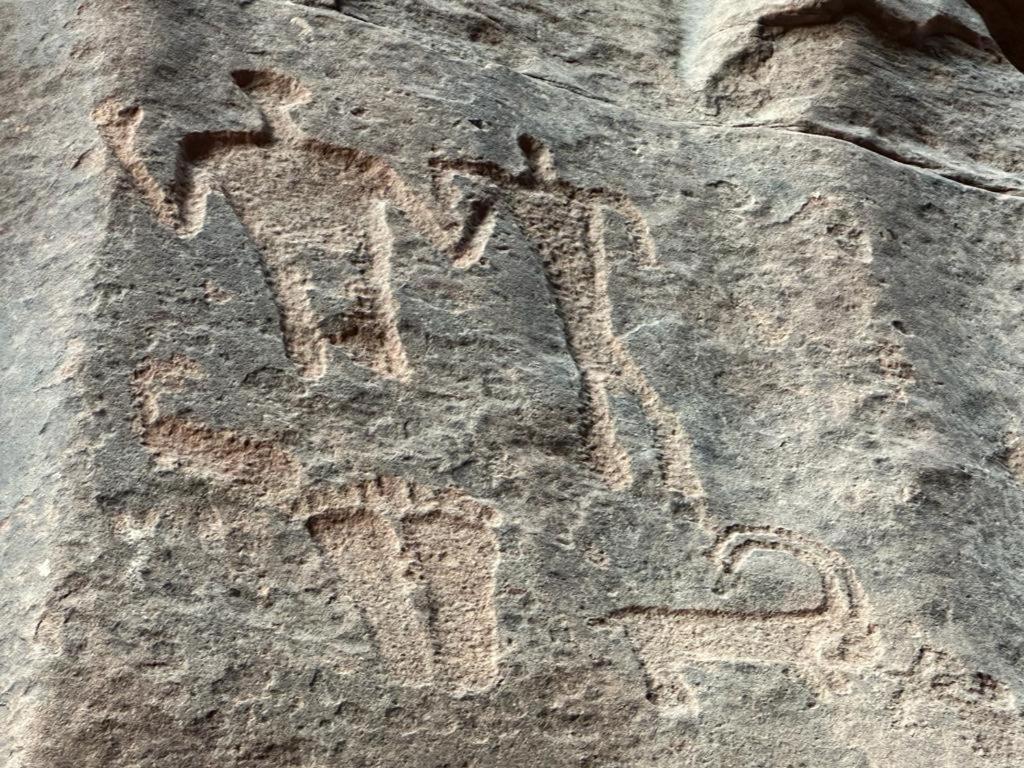 Hotel Bedouin Tours Camp Wadi Rum Exterior foto